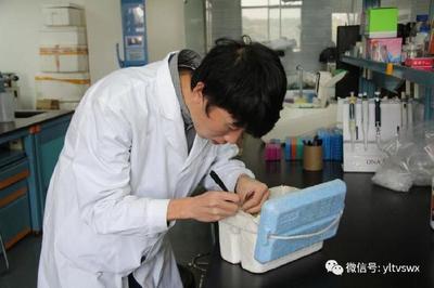 楊凌與河南大學共建“現代農業與生物技術研究院”，加速生物技術推廣