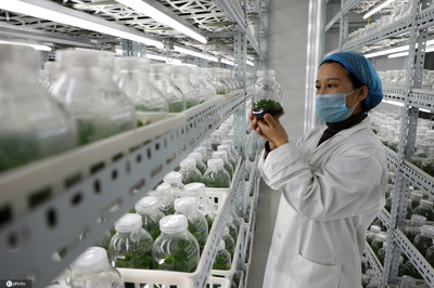 山東濱州 生物技術賦能現代農業，科技引擎助推產業升級
