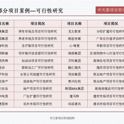 《濟(jì)南市眼鏡架產(chǎn)業(yè)重組技改招商項(xiàng)目融資可行性研究報(bào)告》寫作指南