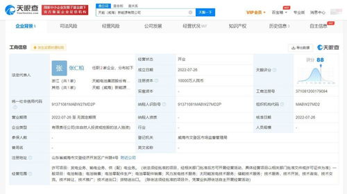 泰豪科技再拓疆域 投資設(shè)立新公司，聚焦信息系統(tǒng)集成服務(wù)